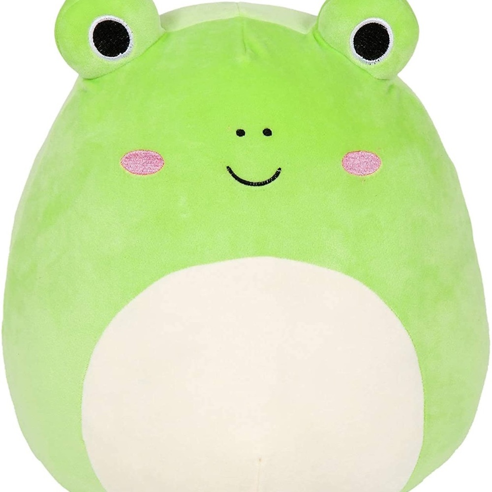 Wendy ✨🐸 Frog squishmallow !💚